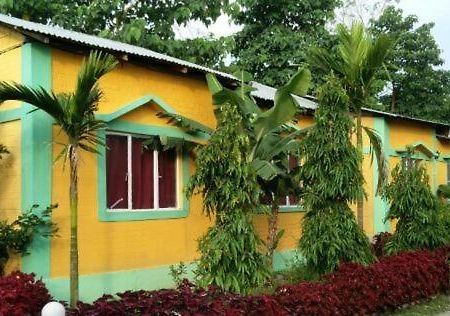 The Mystic Forest - A Tea Garden Resort At Dooars Madari Hat Exteriör bild