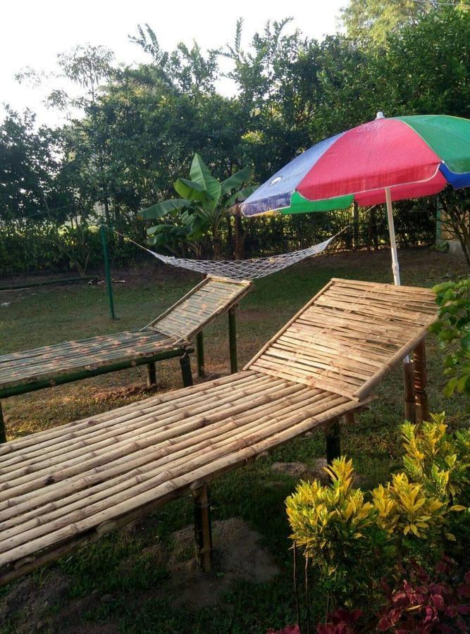 The Mystic Forest - A Tea Garden Resort At Dooars Madari Hat Exteriör bild