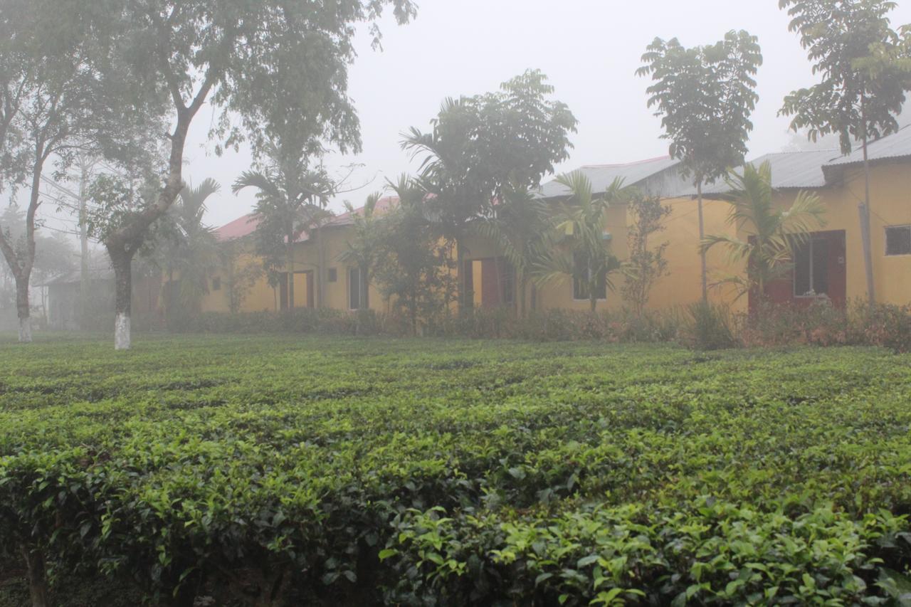 The Mystic Forest - A Tea Garden Resort At Dooars Madari Hat Exteriör bild