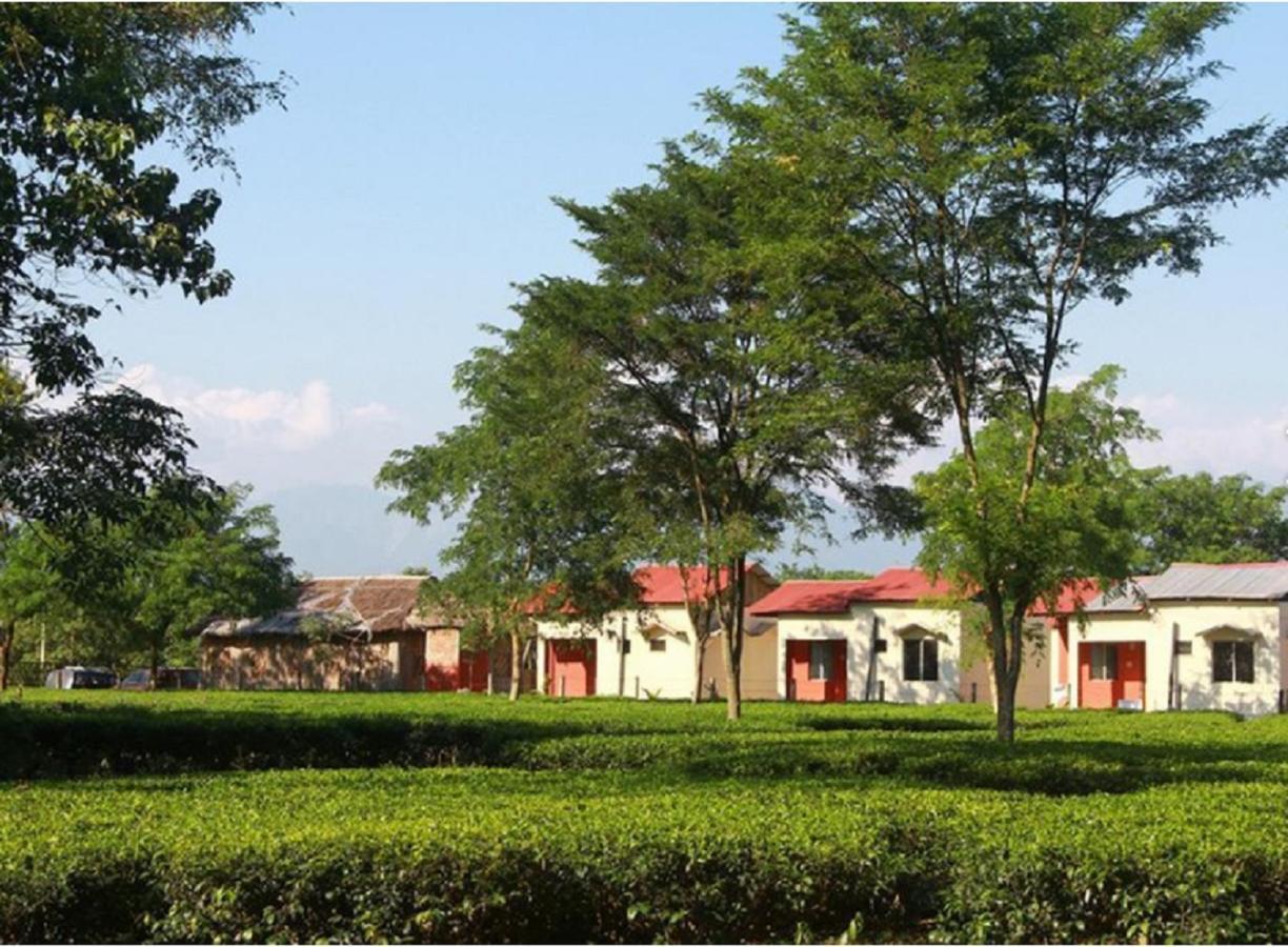 The Mystic Forest - A Tea Garden Resort At Dooars Madari Hat Exteriör bild