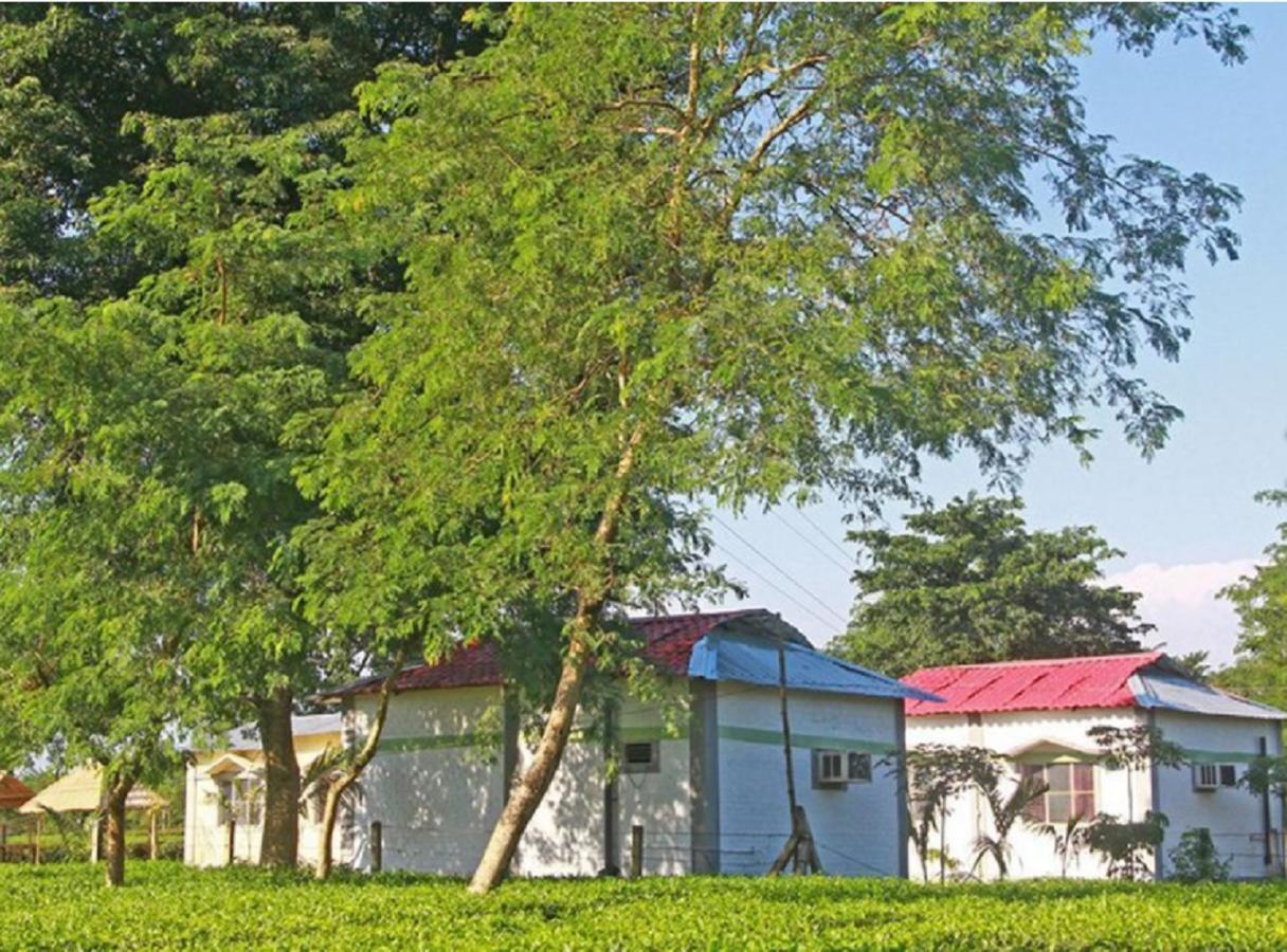 The Mystic Forest - A Tea Garden Resort At Dooars Madari Hat Exteriör bild