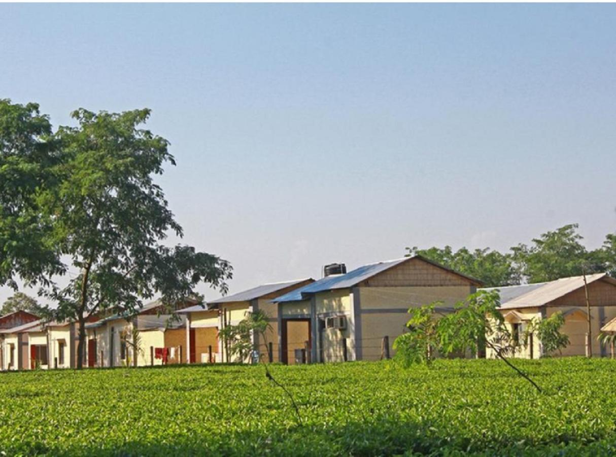 The Mystic Forest - A Tea Garden Resort At Dooars Madari Hat Exteriör bild
