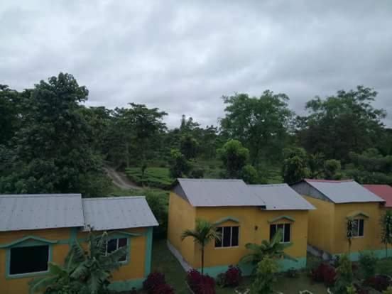 The Mystic Forest - A Tea Garden Resort At Dooars Madari Hat Exteriör bild